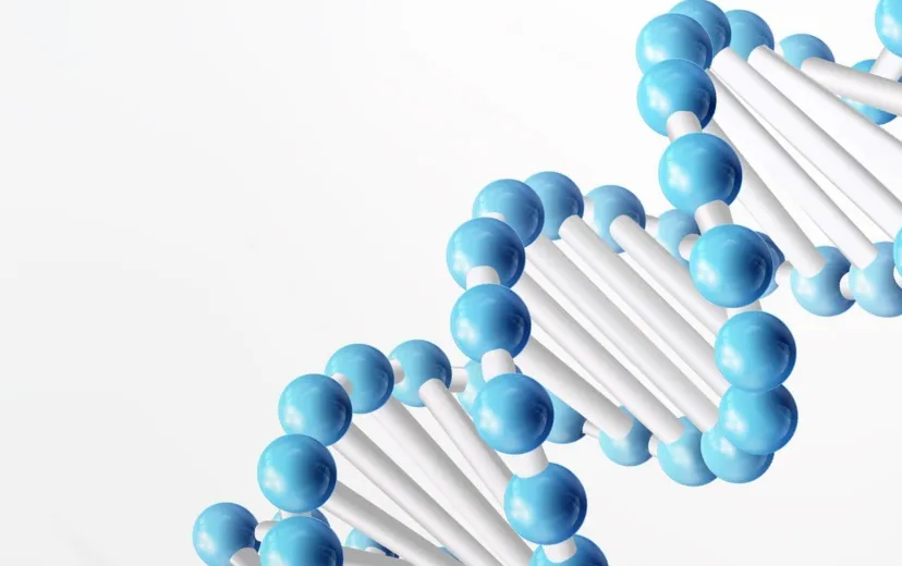 Soldoc-c28-img-dna-mob 이미지
