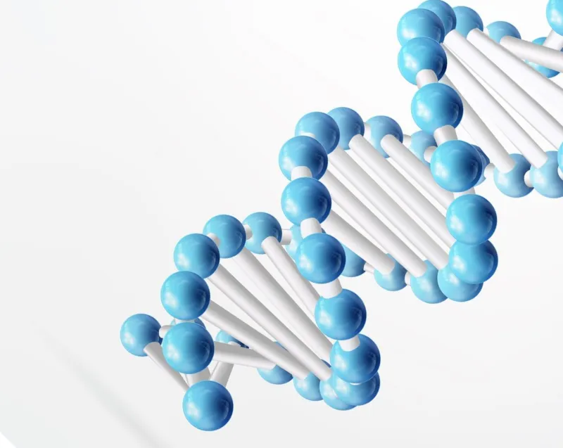 Soldoc-c28-img-dna 이미지